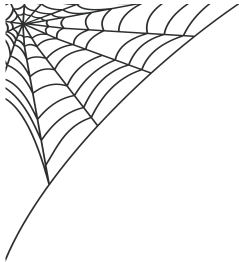 Spider Web