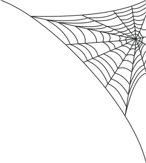 Spider Web