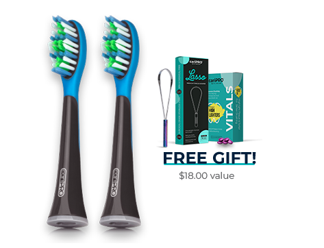 REPLACEMENT TOOTHBRUSH HEADS