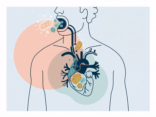 Atherosclerosis illustration