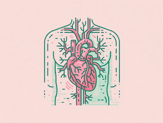 Arteries inflaming over time from oral bacteria